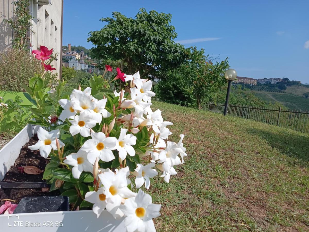 Maison Younesco - Villa Indipendente Exclusive Castagnole delle Lanze Dış mekan fotoğraf