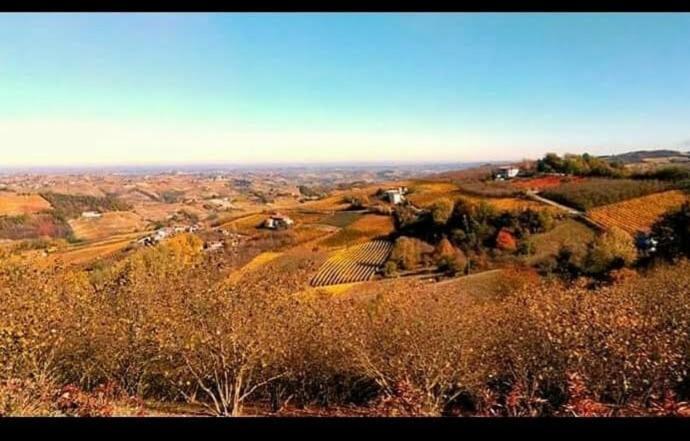 Maison Younesco - Villa Indipendente Exclusive Castagnole delle Lanze Dış mekan fotoğraf