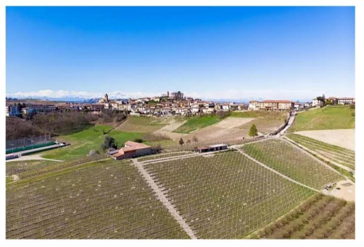 Maison Younesco - Villa Indipendente Exclusive Castagnole delle Lanze Dış mekan fotoğraf